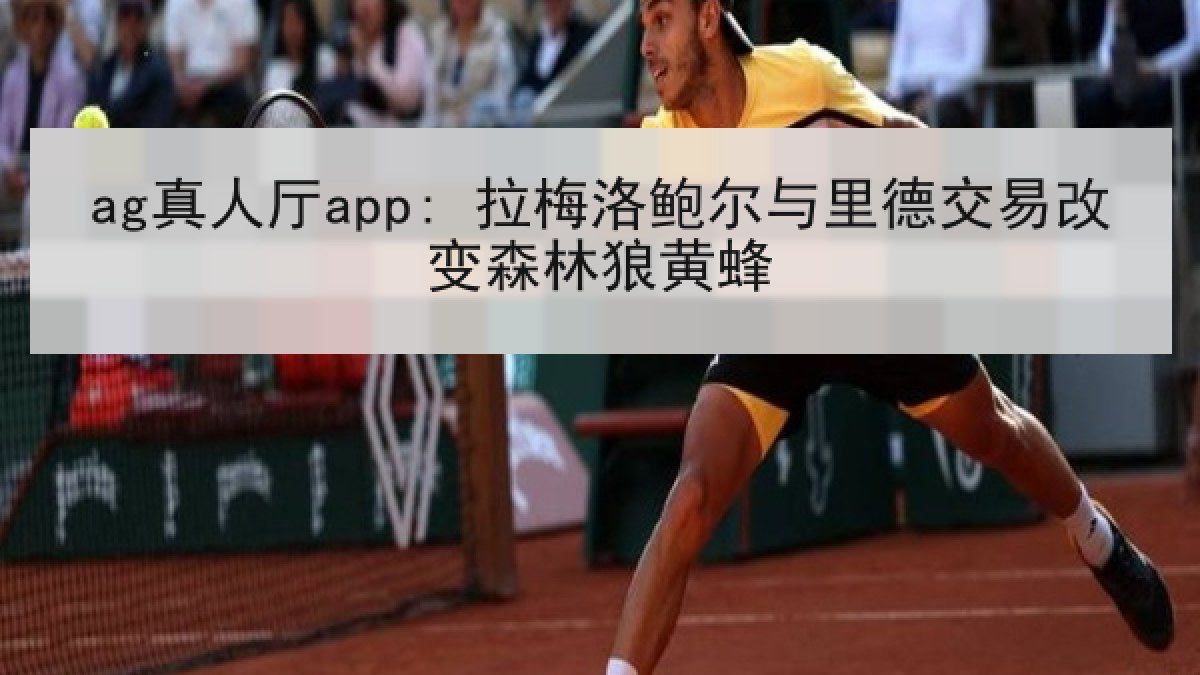 ag真人厅app: 拉梅洛鲍尔与里德交易改变森林狼黄蜂 ag真人厅app: 拉梅洛鲍尔与里德交易改变森林狼黄蜂