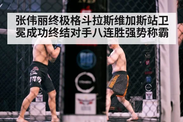 MMA cage fight
